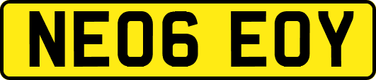 NE06EOY