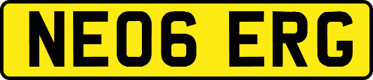 NE06ERG