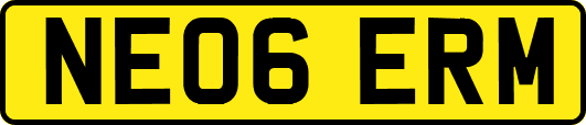 NE06ERM
