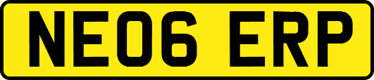 NE06ERP