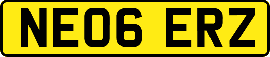 NE06ERZ