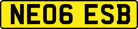 NE06ESB