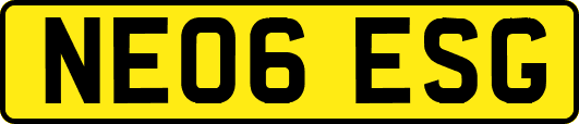 NE06ESG