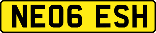 NE06ESH
