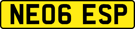 NE06ESP