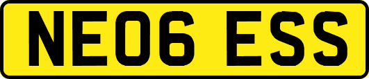 NE06ESS