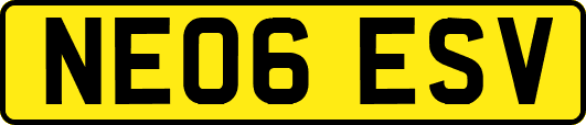 NE06ESV