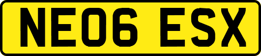 NE06ESX