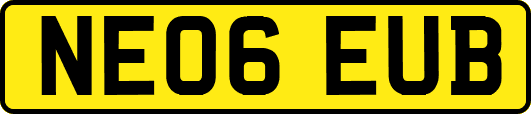 NE06EUB