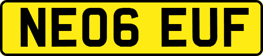 NE06EUF