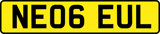 NE06EUL