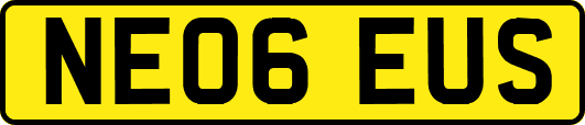NE06EUS