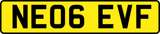NE06EVF