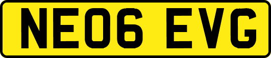 NE06EVG
