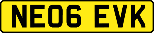 NE06EVK