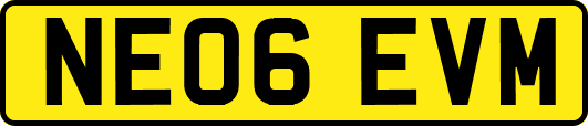 NE06EVM
