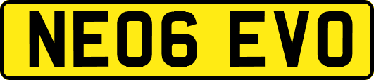 NE06EVO