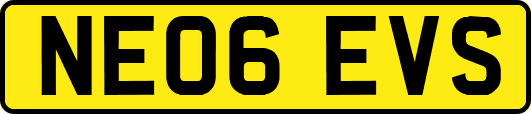 NE06EVS