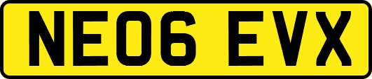 NE06EVX