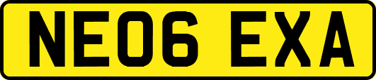 NE06EXA