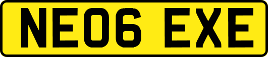 NE06EXE