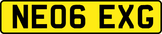 NE06EXG
