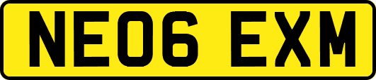 NE06EXM