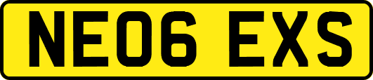 NE06EXS