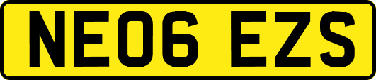 NE06EZS