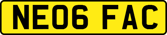 NE06FAC
