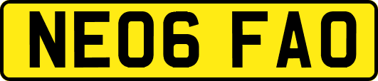 NE06FAO