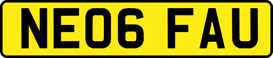 NE06FAU