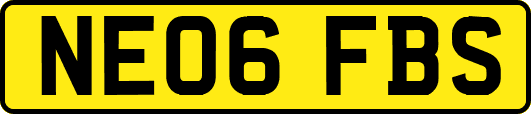 NE06FBS