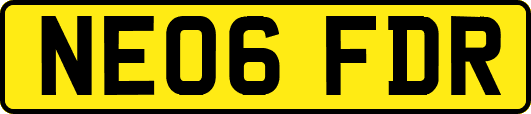 NE06FDR