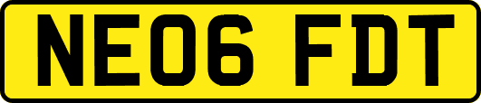 NE06FDT