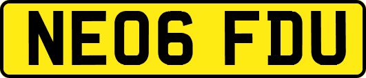 NE06FDU