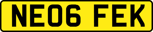 NE06FEK