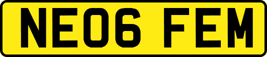 NE06FEM