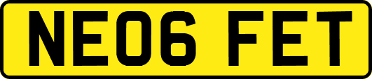 NE06FET