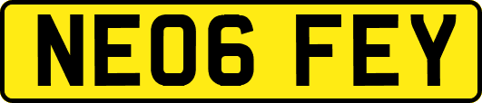 NE06FEY