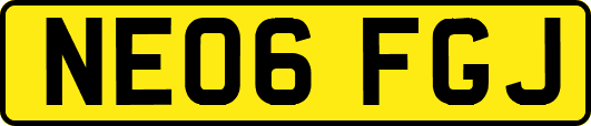 NE06FGJ