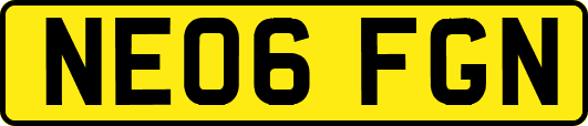 NE06FGN