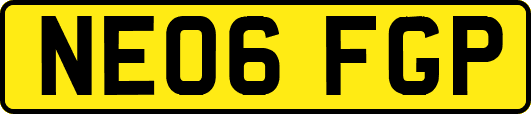 NE06FGP