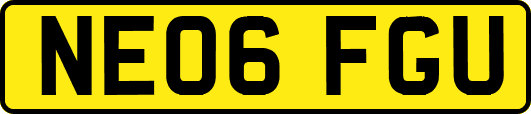NE06FGU
