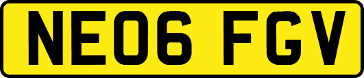 NE06FGV