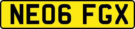 NE06FGX