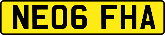 NE06FHA