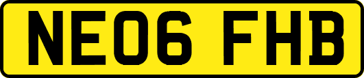 NE06FHB