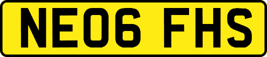 NE06FHS