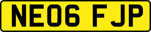 NE06FJP